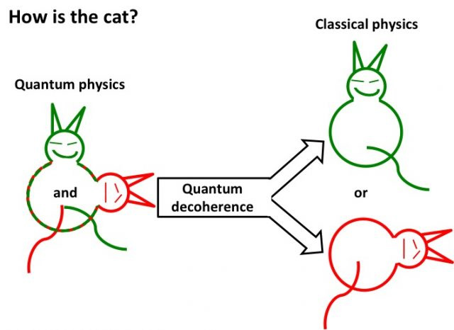 How is the cat: a superposition of alive and dead resolves under decoherence into alive or dead.