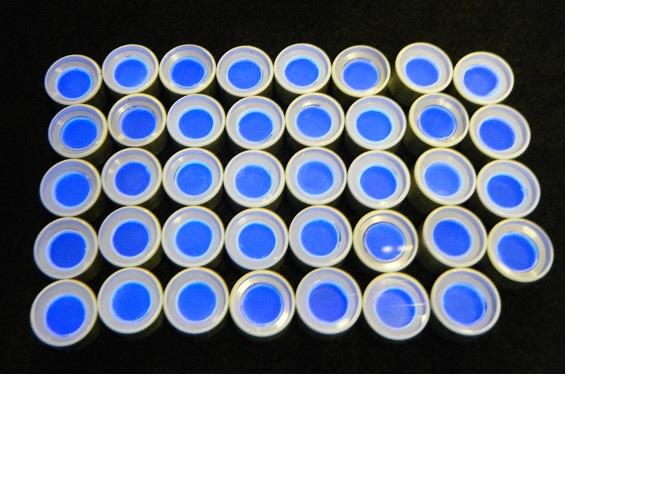 An array of forty crystal-only canisters with glowing crystal faces.