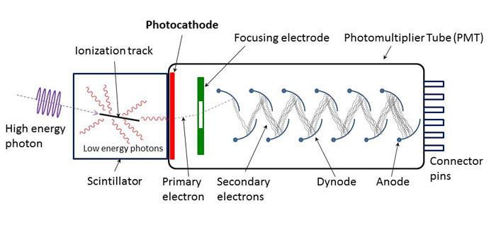 A photomultiplier tube showing photocathode, focusing electrode, and dynode chain.