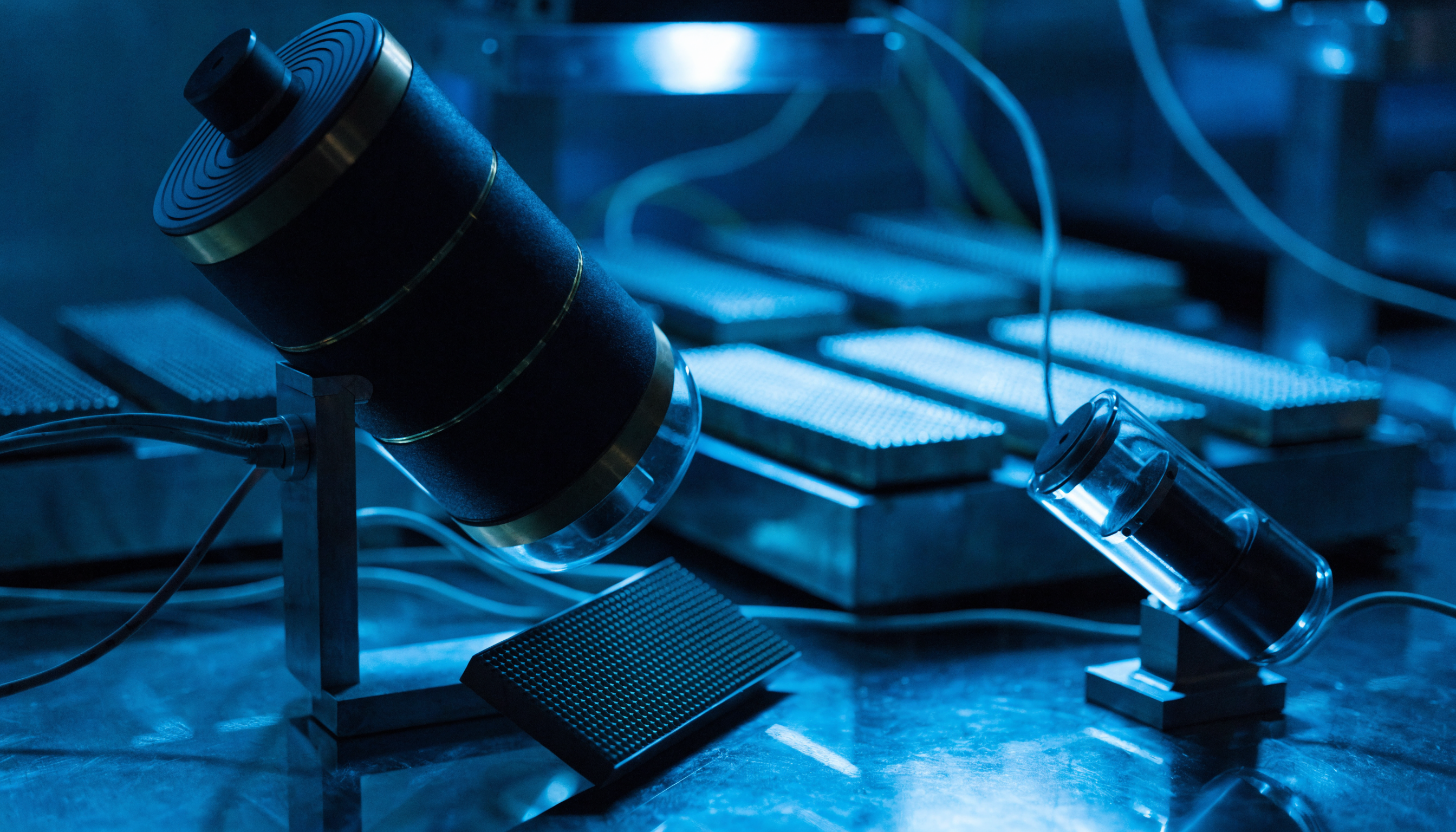 Gated microchannel plate and image intensifier detector assembly