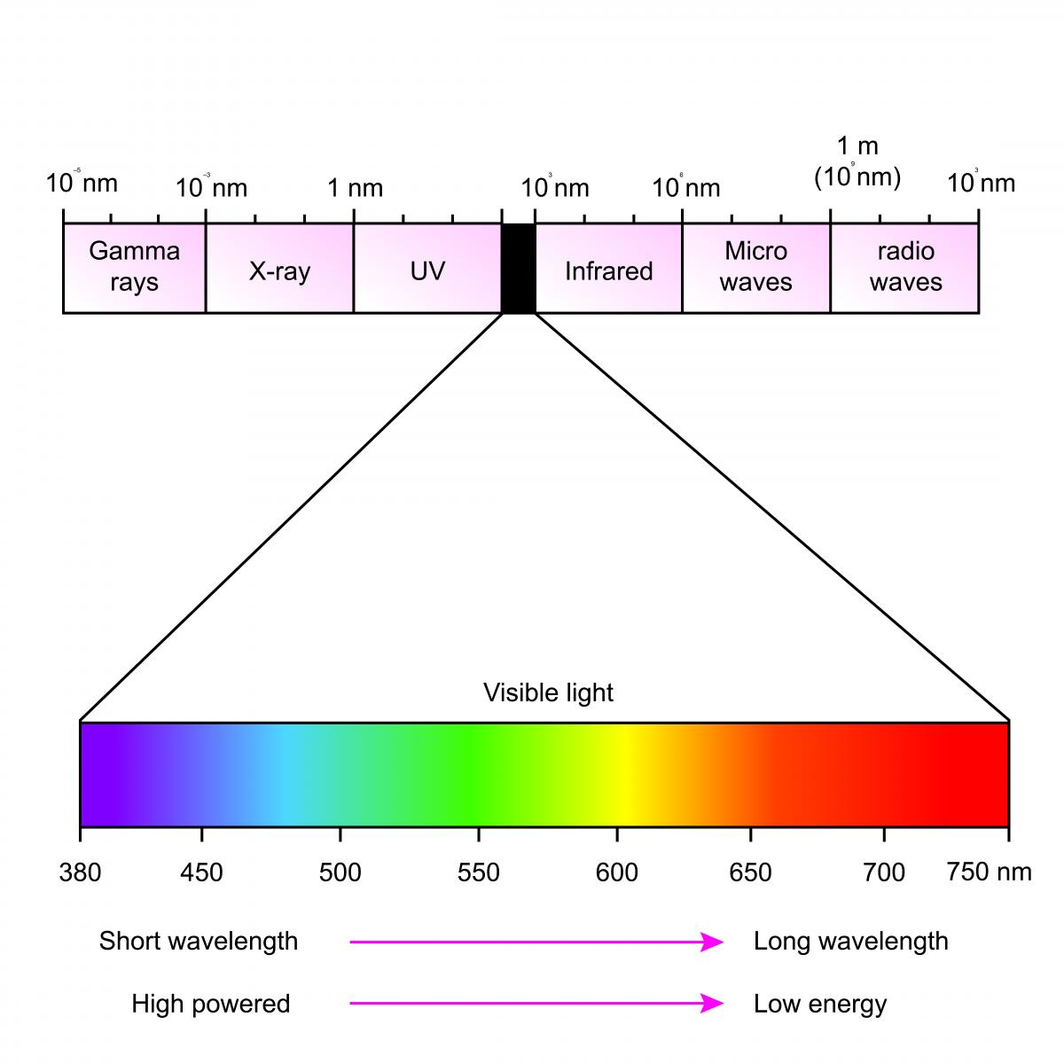The electromagnetic spectrum from gamma rays to radio waves, with the visible-light band expanded to show wavelength from 380 to 750 nm, short wavelength to long wavelength, and high powered to low energy.